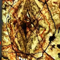 سنگ های اسلب صادراتی