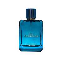 عطر مردانه فرگرانس ورد اروس Des Tentation