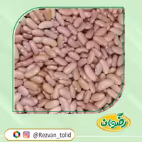 لوبیا قرمز قلمی