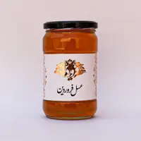عسل پنبه خام و طبیعی فروردین ساکارز 1.3 (850گرمی) ارسال رایگان
