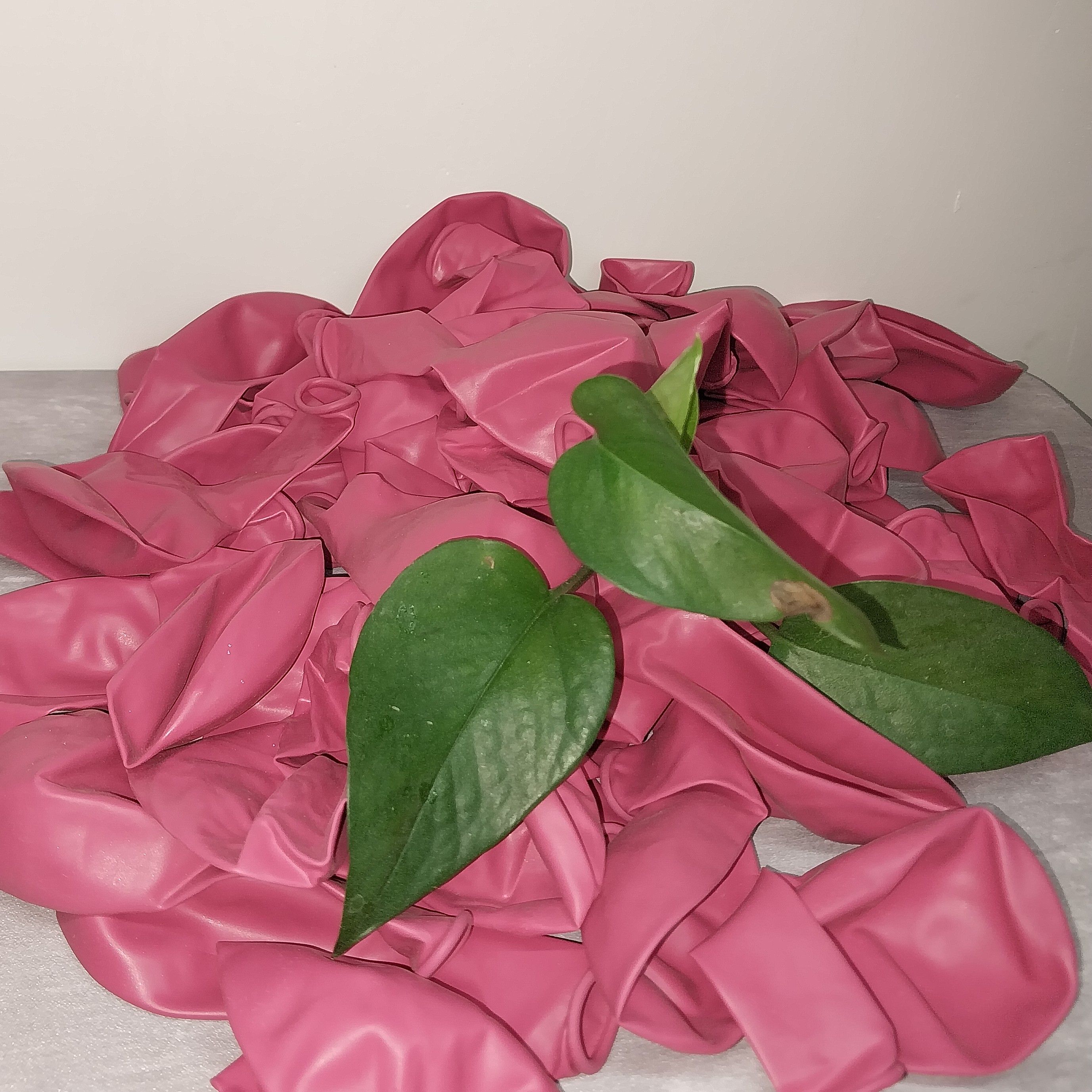 بادکنک لاتکس سرخابی