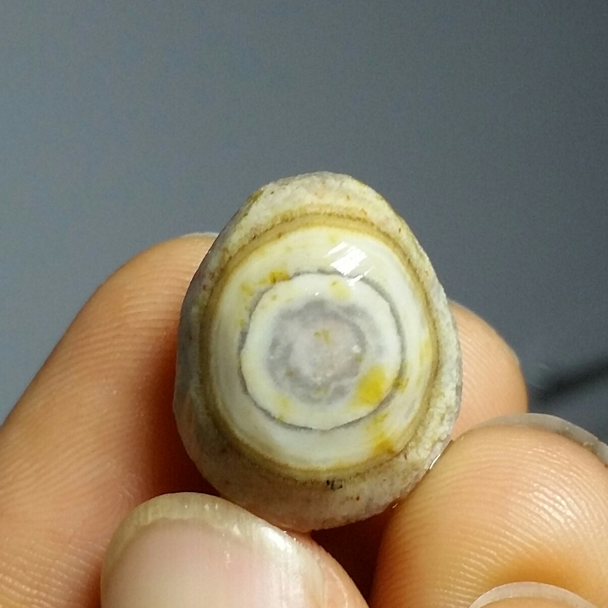 سنگ راف خام عقیق باباقوری تک چشم درشت موکول دار رحمانی بسیار قوی  برش نخورده 100 در 100 طبیعی شاهکار خلقت
کد 10929