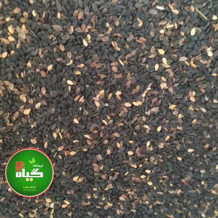 کنجد سیاه فوق اعلا ی هندی سورت کامل خام و خوشمزه(250گرمی ) عطاری چهل گیاه 