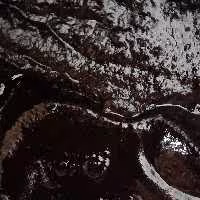 رب میوه ملس (450گرمی)