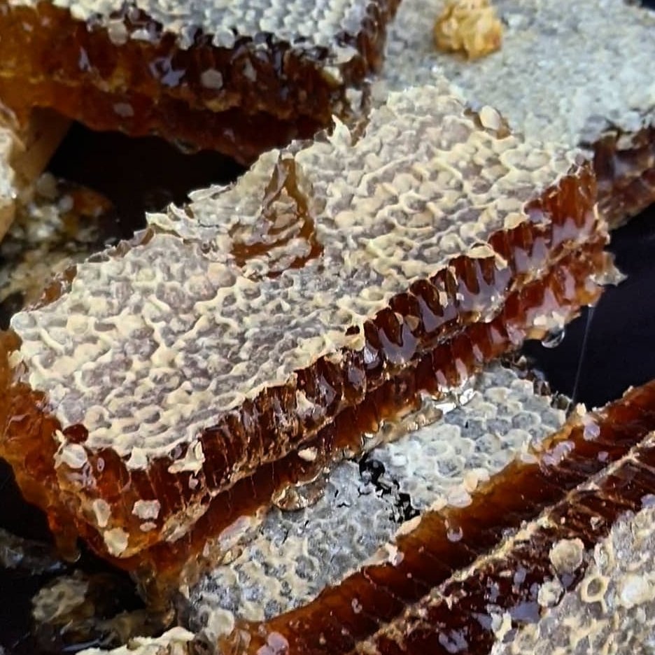 عسل مومی 2 کیلویی. خوش طعم و عطر. عسل درجه یک خلخال. ساکاروز 3
رنگ روشن و تیره