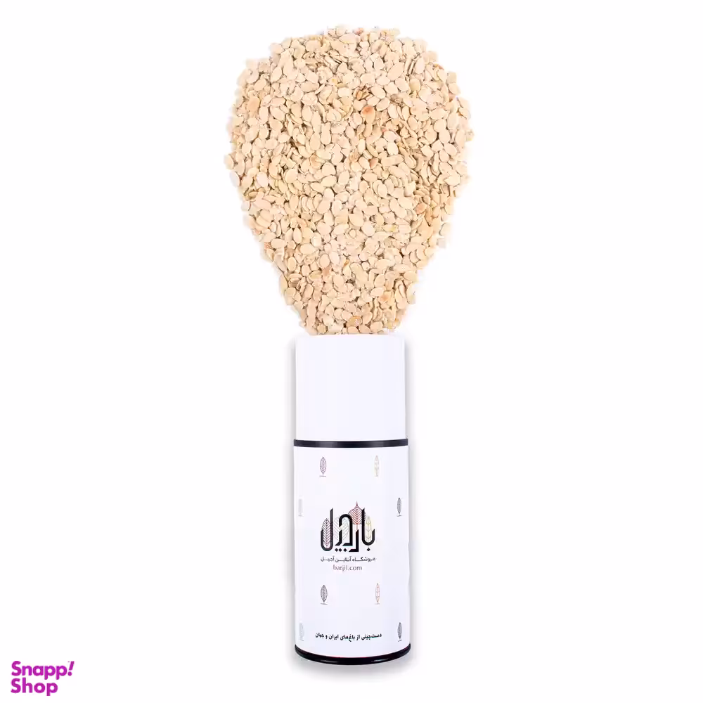 مغز تخمه محبوبی برشته نمکی بارجیل