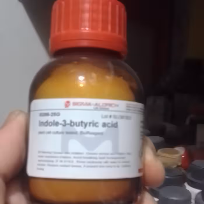 هورمون گیاهی ریشه زای ایندول بوتریک 25 گرمی سیگما آمریکا اصلی گرید کشت بافت