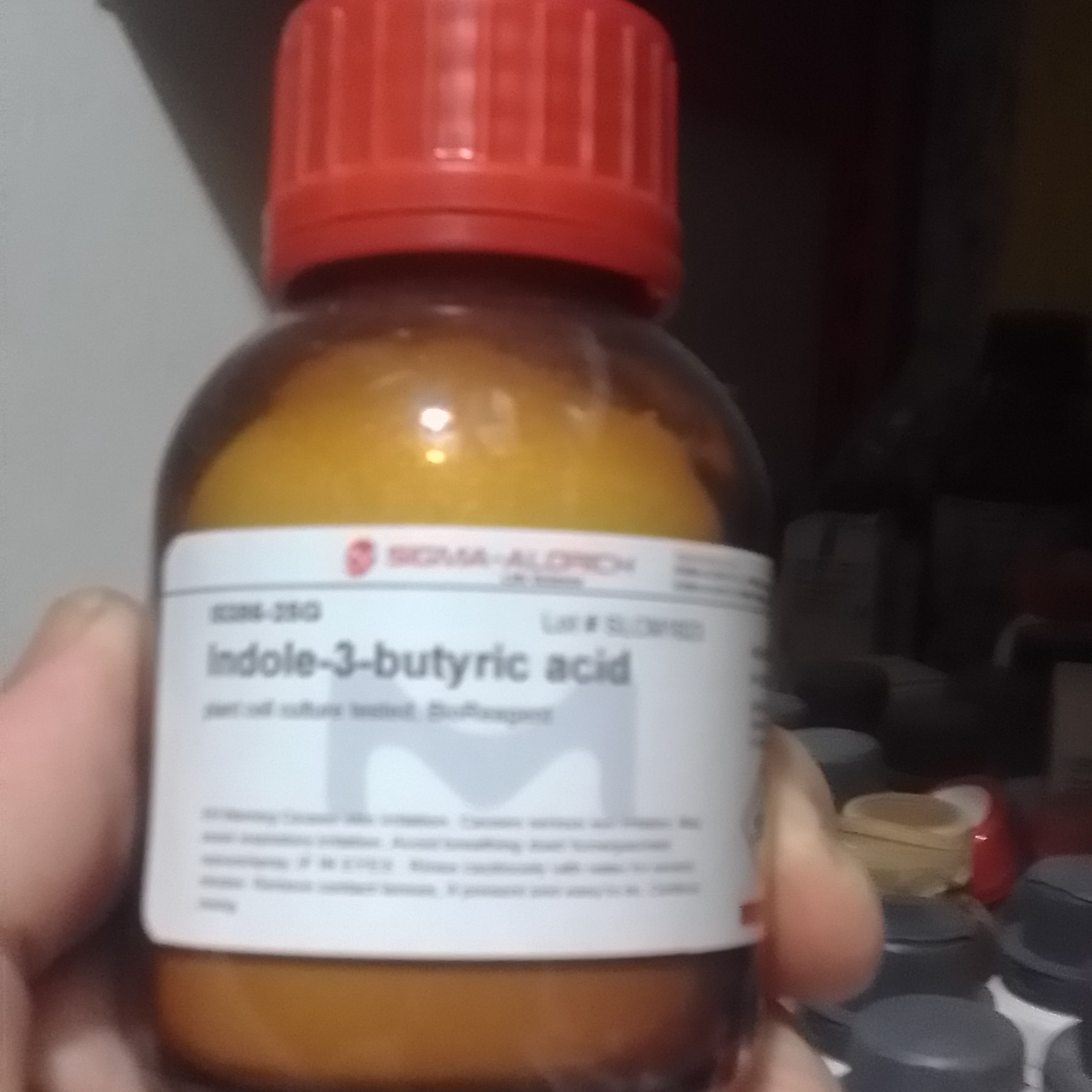 هورمون گیاهی ریشه زای ایندول بوتریک 25 گرمی سیگما آمریکا اصلی گرید کشت بافت