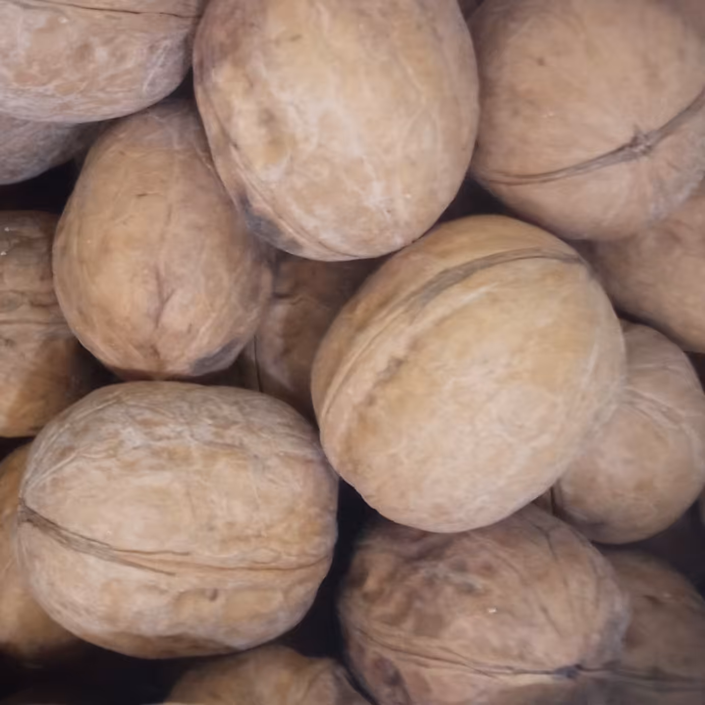 گردو درجه یک 45درصد مغز چینی امسال (1کیلویی)