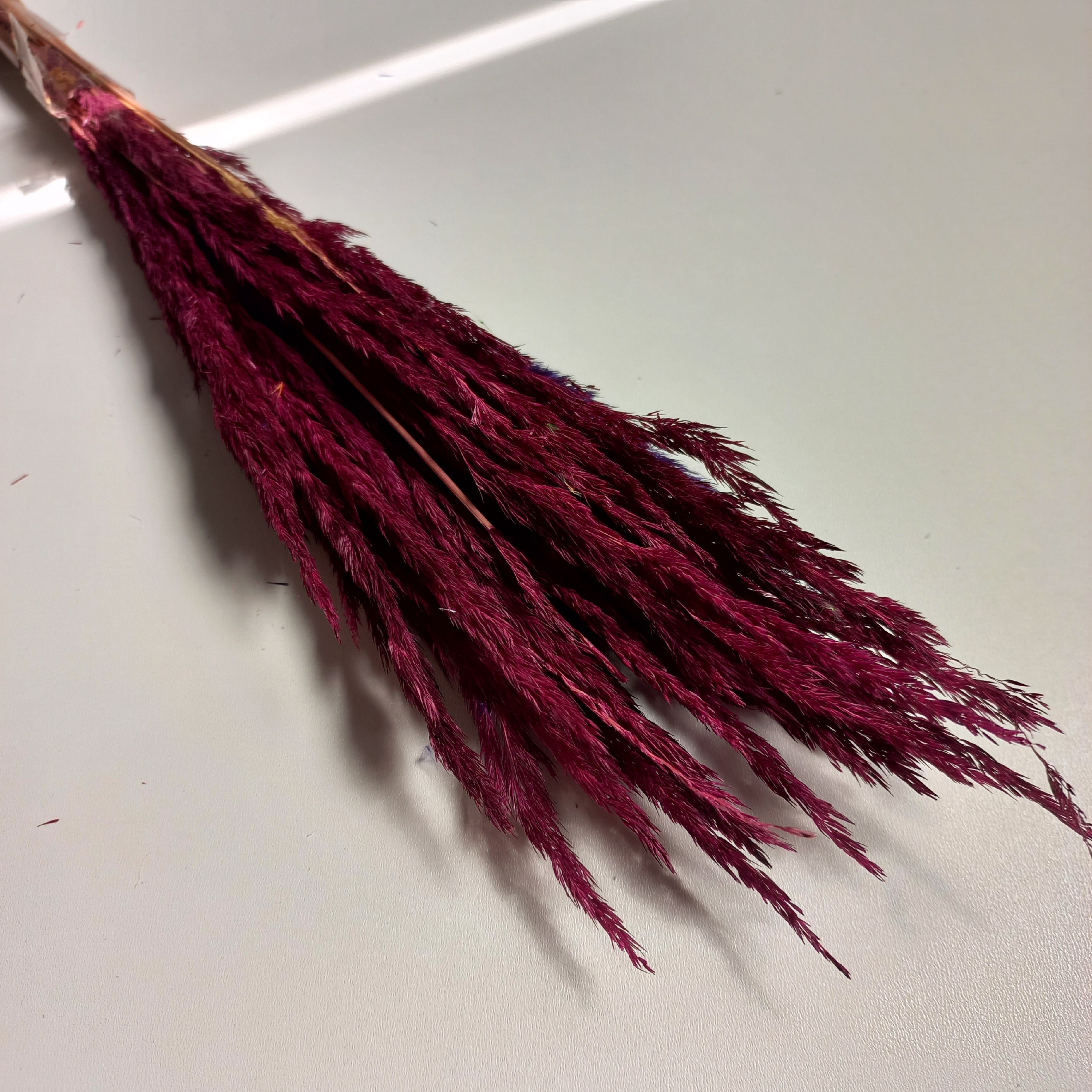 گل خشک مصنوعی زرشکی گل خشک قرمز