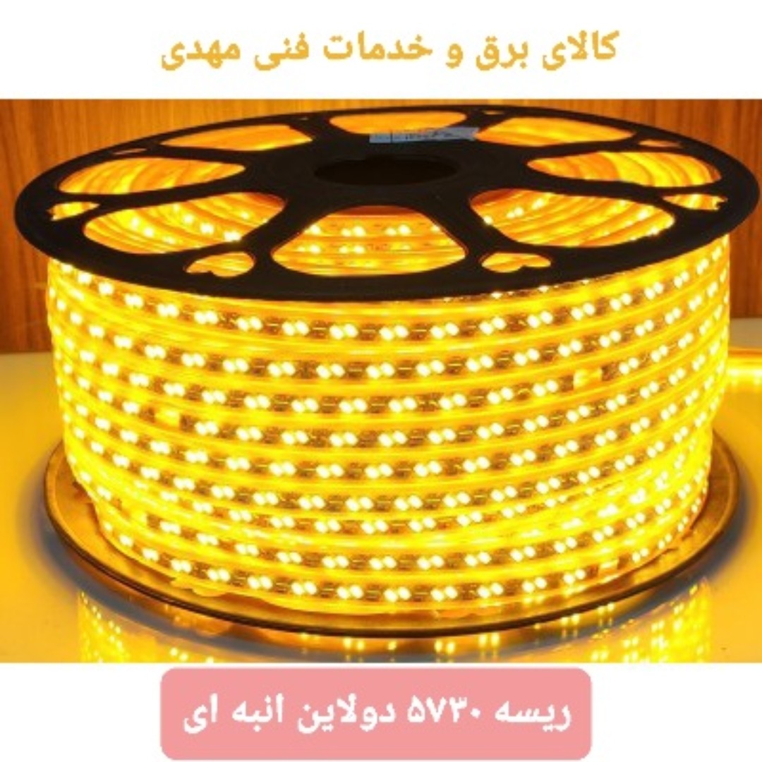 ریسه شلنگی 5730 دولاین انبه ای
