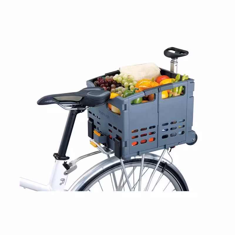 سبد عقب چمدانی چرخدار تاشو دوچرخه تاپیک Topeak TB2008