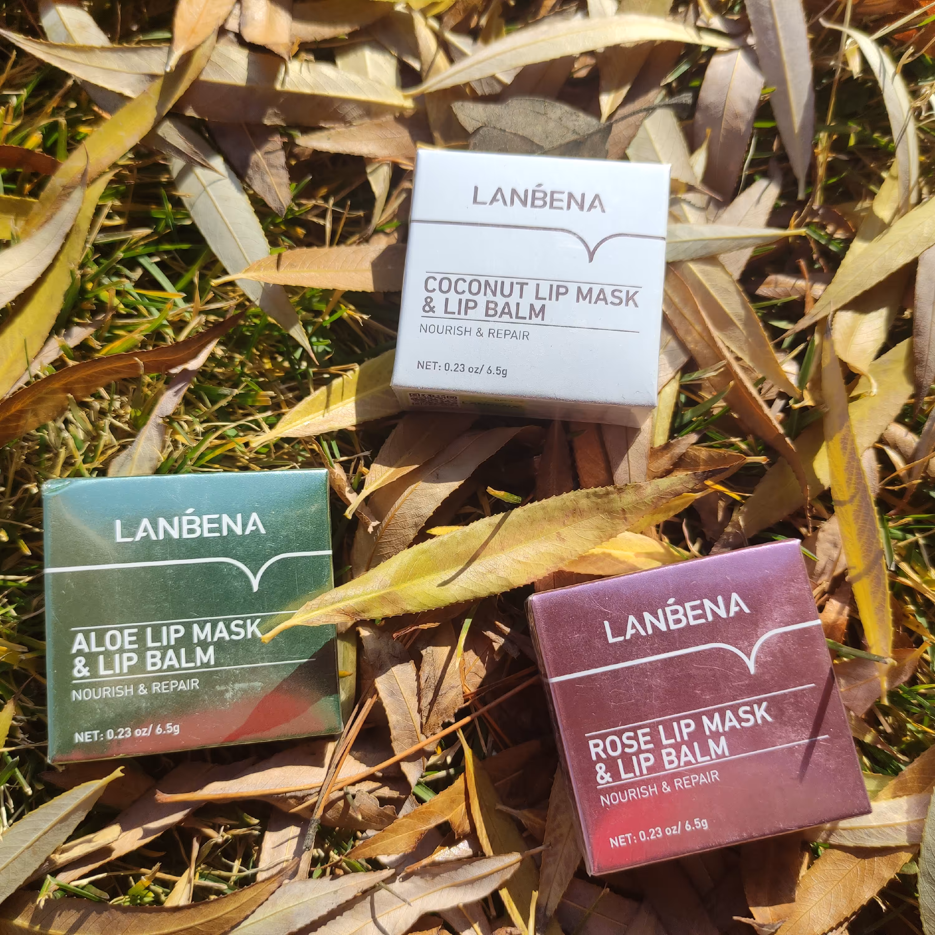 ماسک و اسکراب لب لانبنا، رز، نارگیل، آلوئه ورا، لباتو خوشگل کن