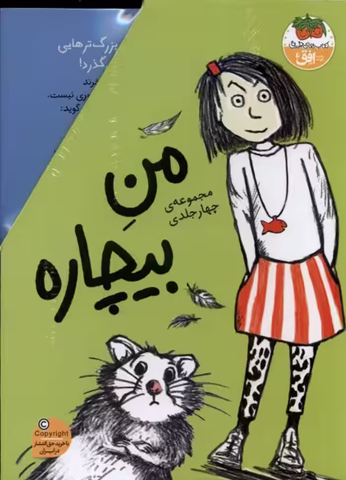مجموعه من بیچاره 4جلدی افق