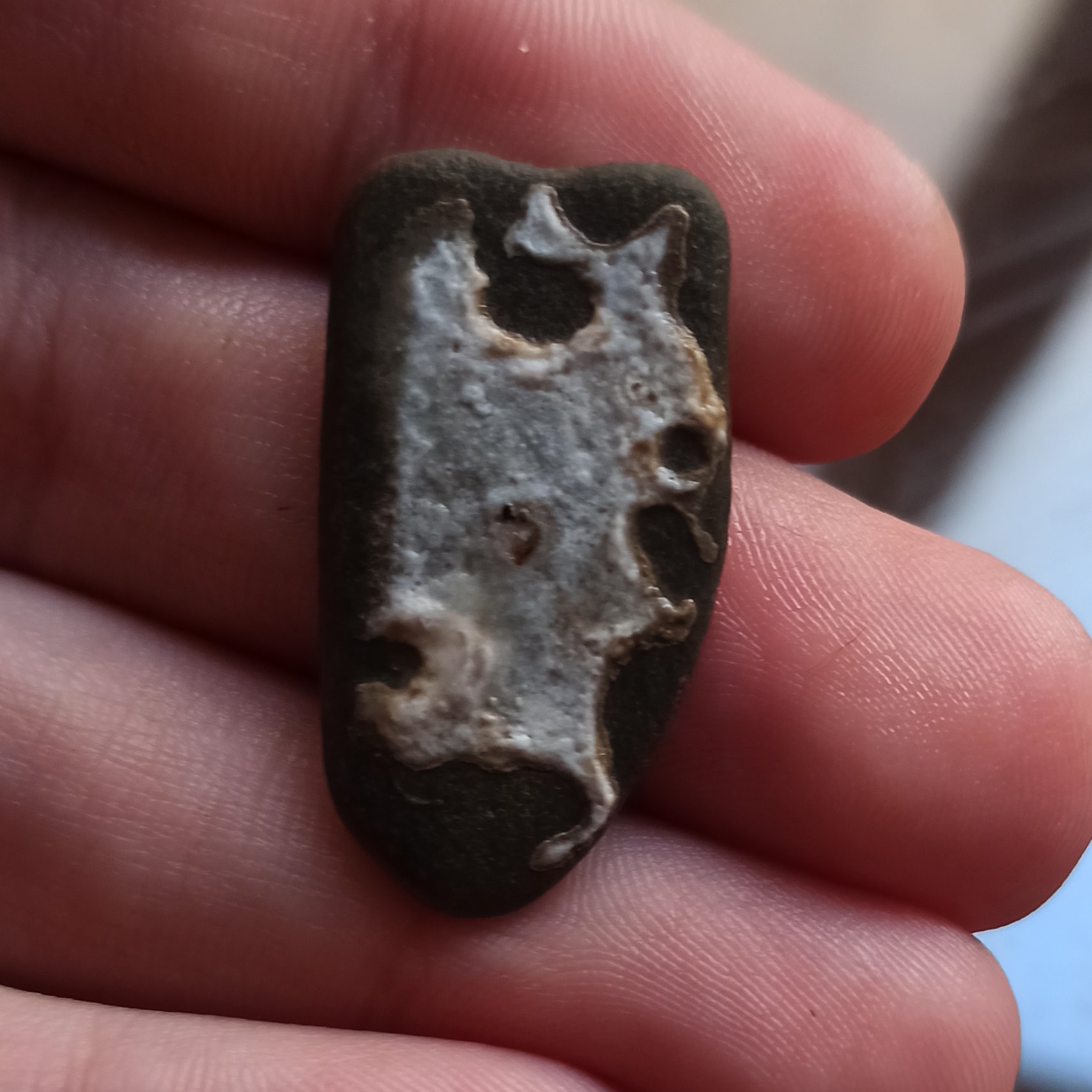 سنگ مصور پرنده و جوجه زیبا