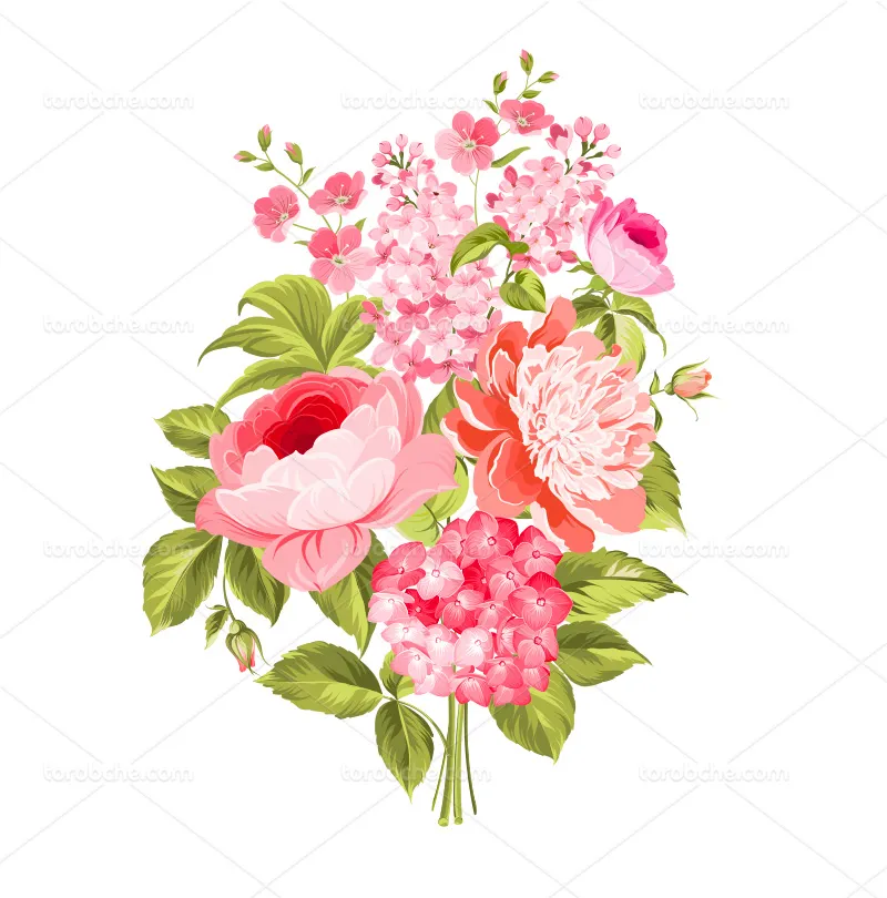 وکتور نقاشی گلهای صورتی و برگ سبز | گرافیک با طعم تربچه