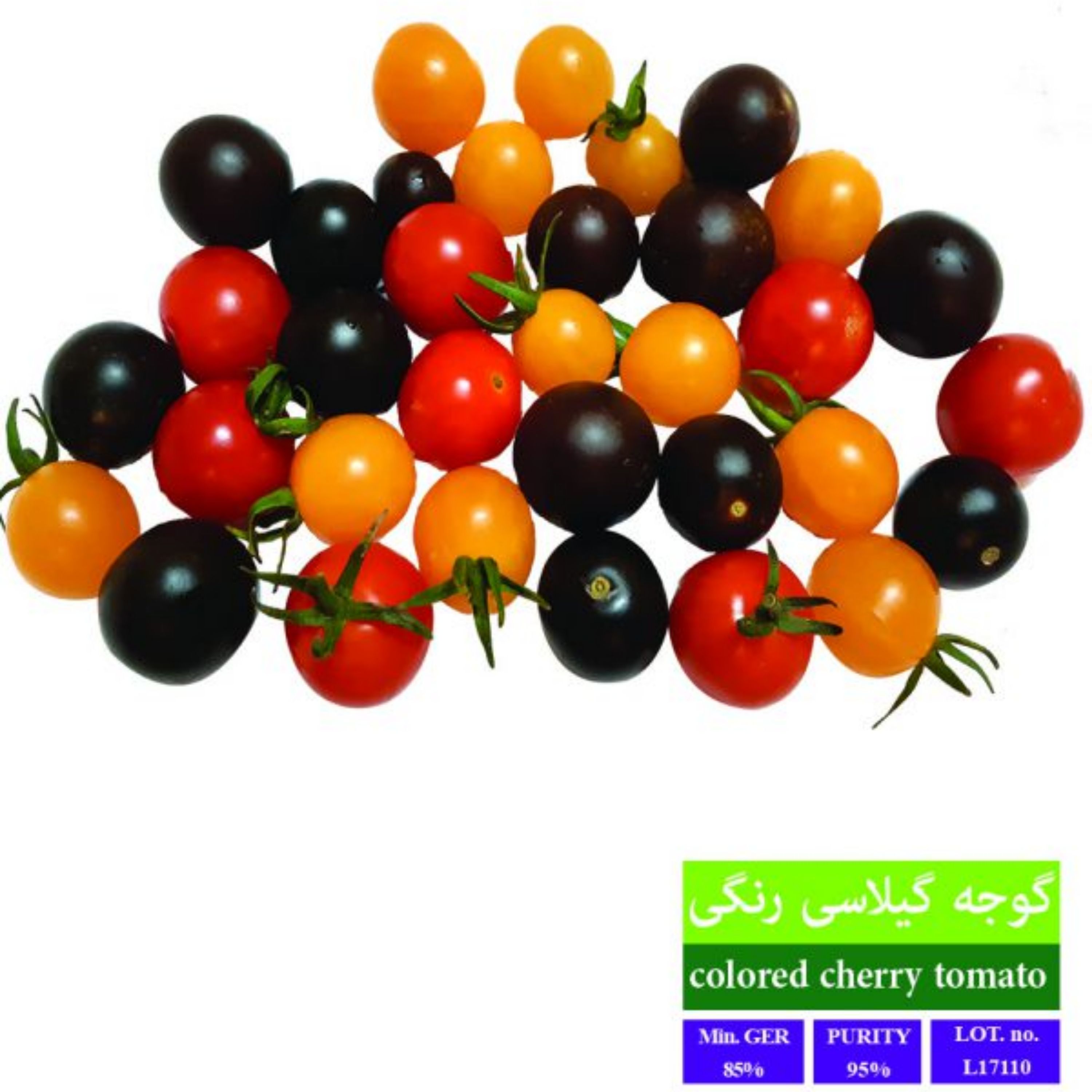 بذر گوجه گیلاسی رنگی بذر طلایی رویان