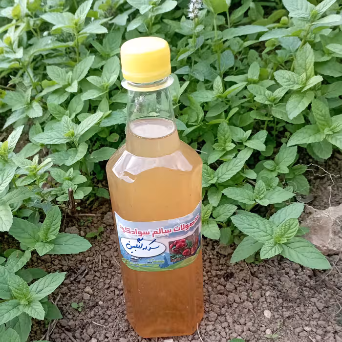 سرکه انگبین (سکنجبین)  نعنایی سوادکوه (650 گرمی)