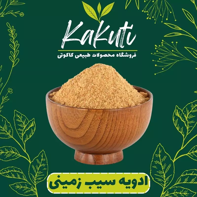 ادویه سیب زمینی درجه یک (100 گرمی)فروشگاه کاکوتی