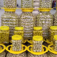 زیتون رودباربا بهترین طعم وکیفیت