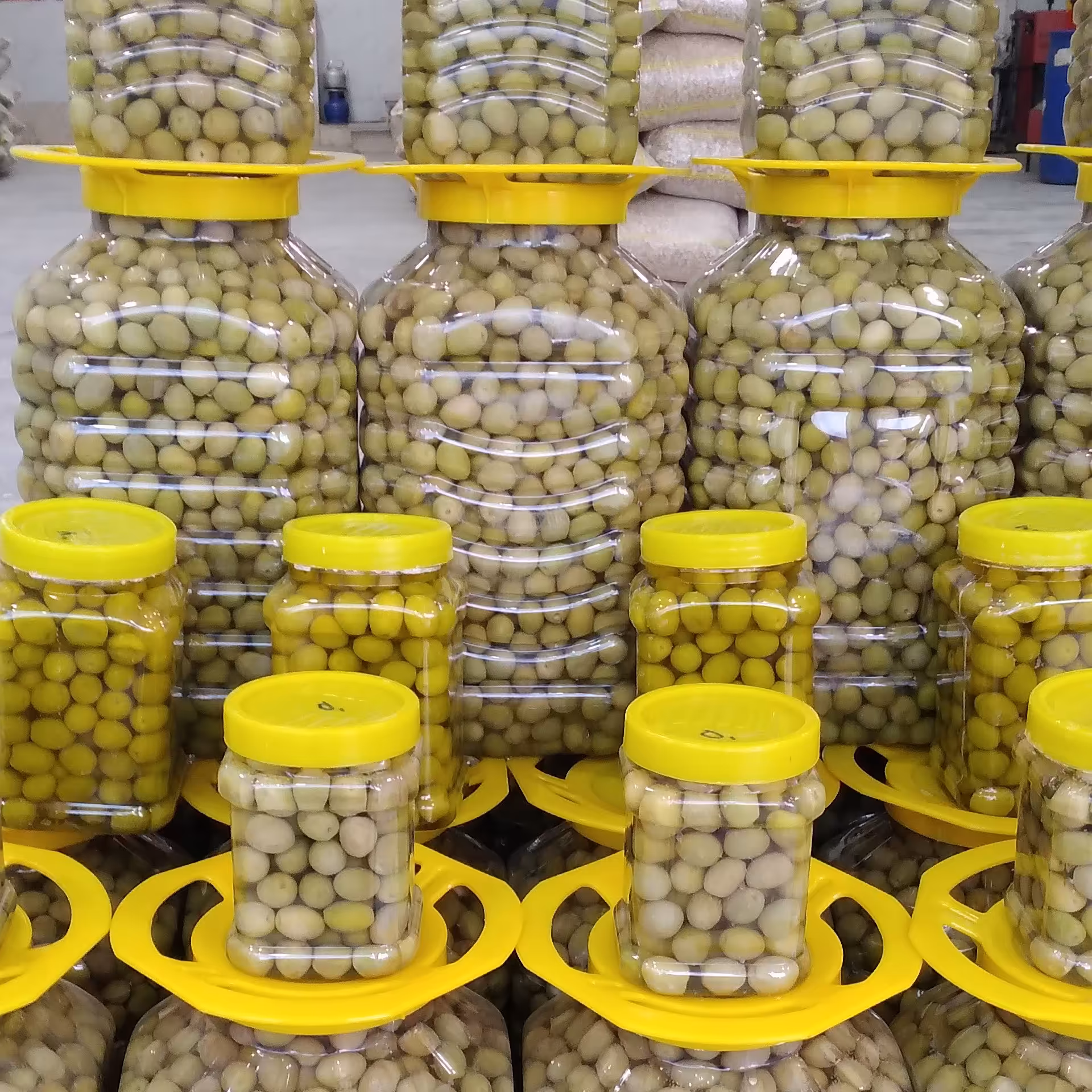 زیتون رودباربا بهترین طعم وکیفیت