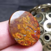  نگین فوق العاده زیبای سنگ عقیق شجر پاییزی صد درصد طبیعی خراسانی اصل معدنی
کد  26937
