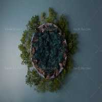 بک دراپ عکاسی نوزاد با برگ و پر | گرافیک با طعم تربچه