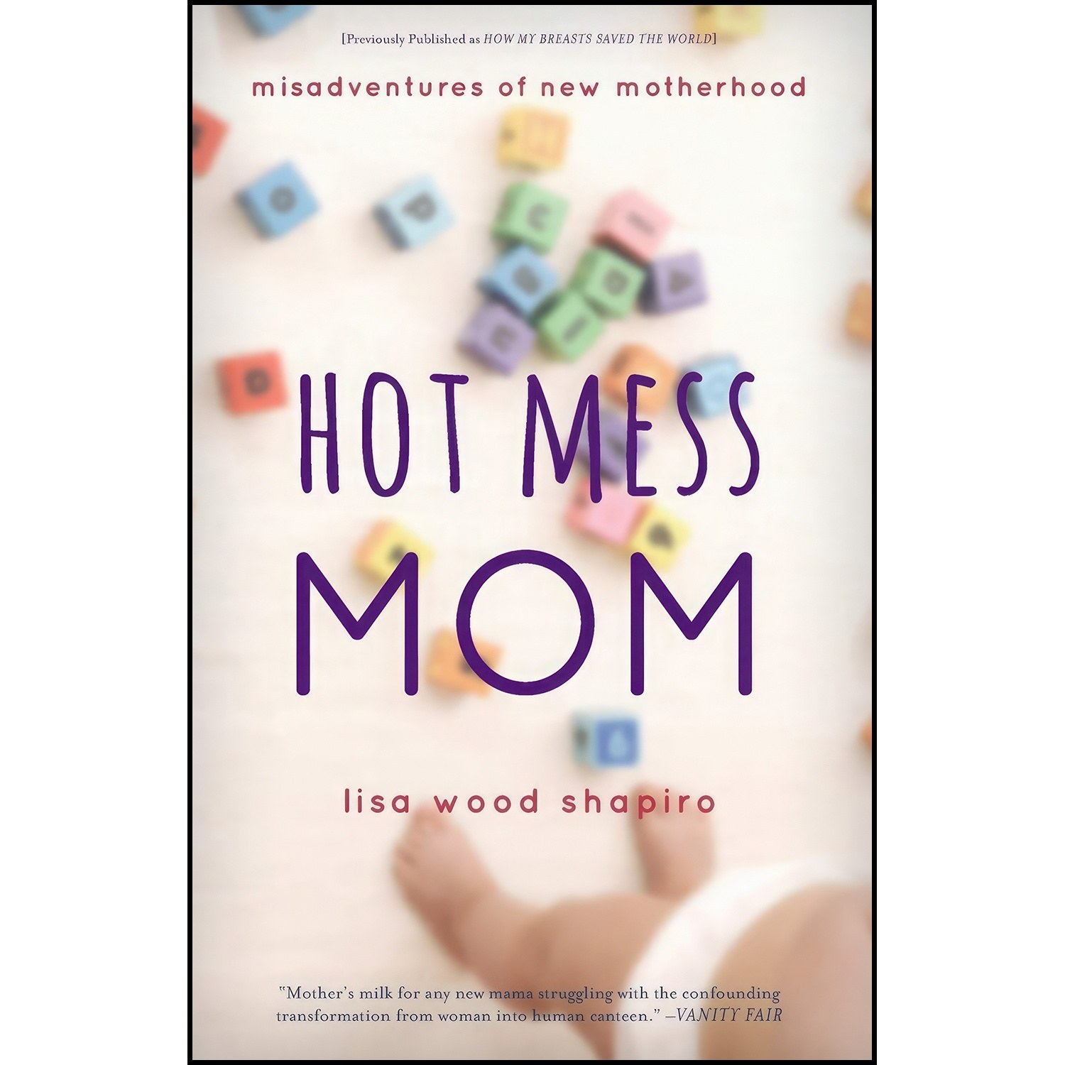 کتاب زبان اصلی Hot Mess Mom اثر Lisa Wood Shapiro