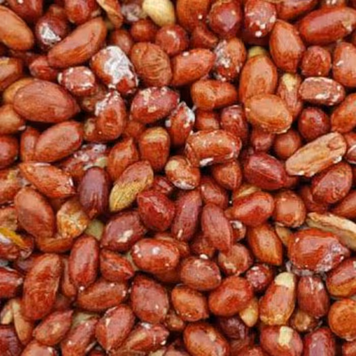  بادام زمینی (مغز) ریز و نمکی و خوشمزه 