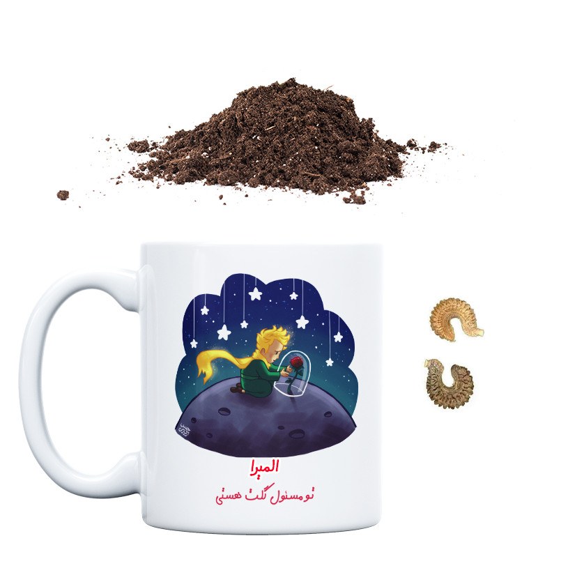 مجموعه آماده کشت حس آمیزی مدل المیرا تو مسئول گلت هستی