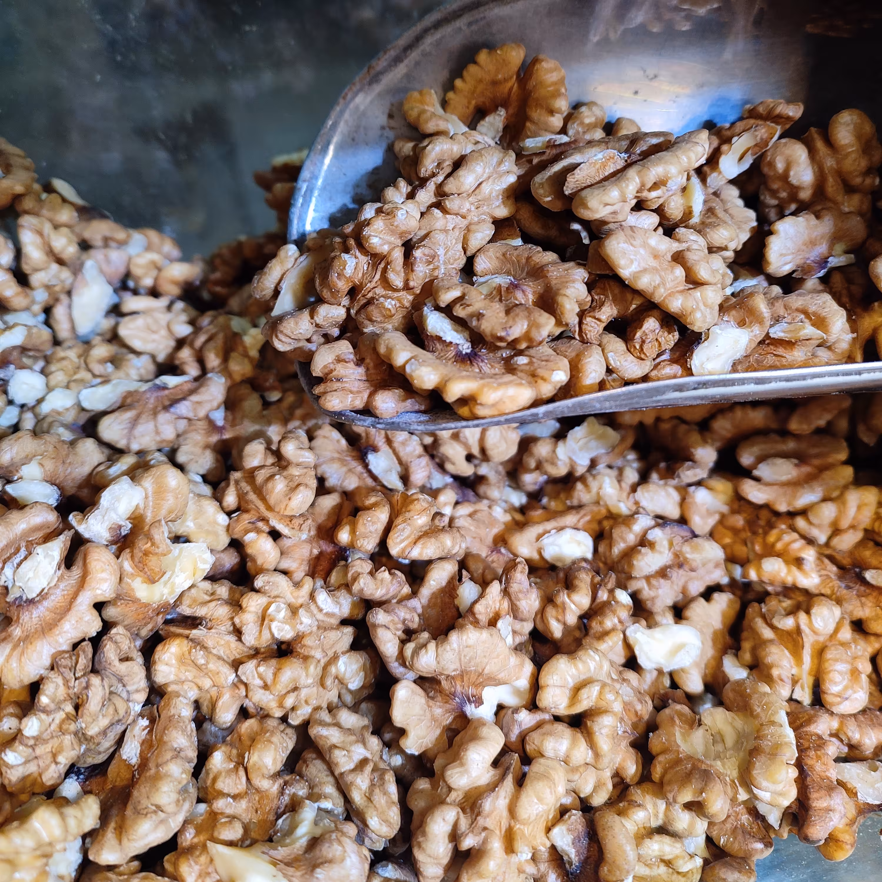 مغز گردو ایرانی امسالی یک کیلویی