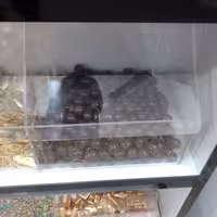 شکلات توپی کاکاویی فله ای