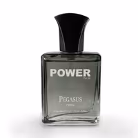 ادکلن مردانه پگاسوس برند پاور پالس حجم 25 میل 