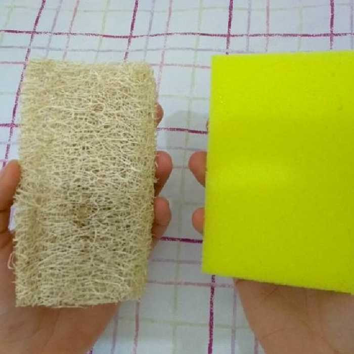 اسکاج گیاهی لوفا ده عدد