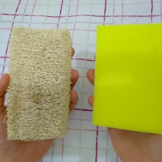 اسکاج گیاهی لوفا ده عدد