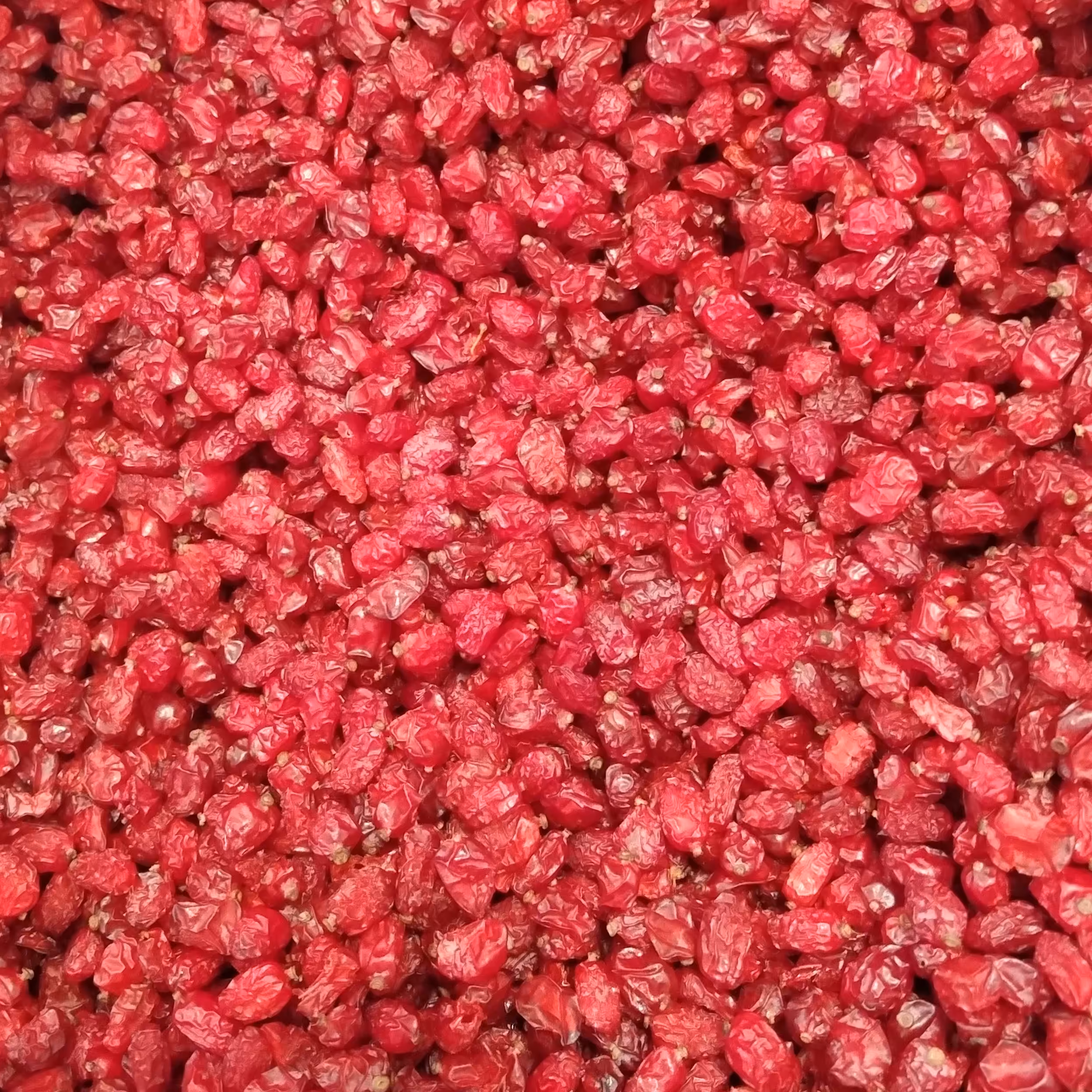 زرشک پفکی اعلای قاینات(500گرمی)