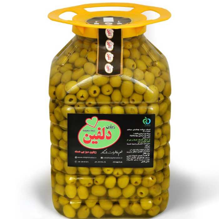 زیتون بی هسته دلفین پت 5 کیلویی ویژه