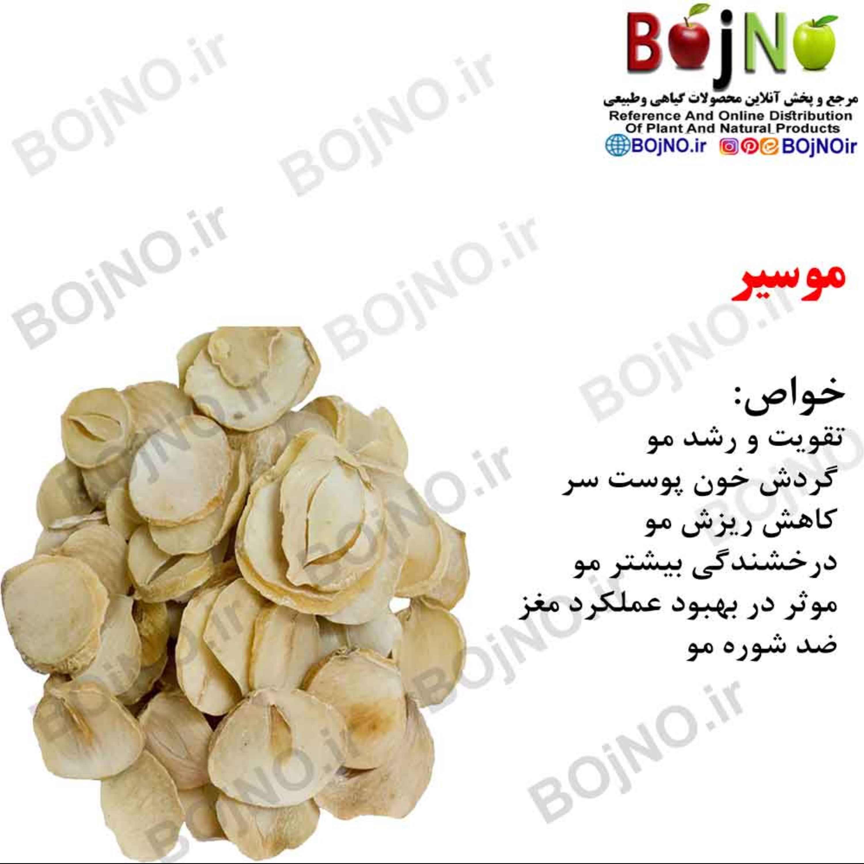 موسیر (بسته 50گرمی)