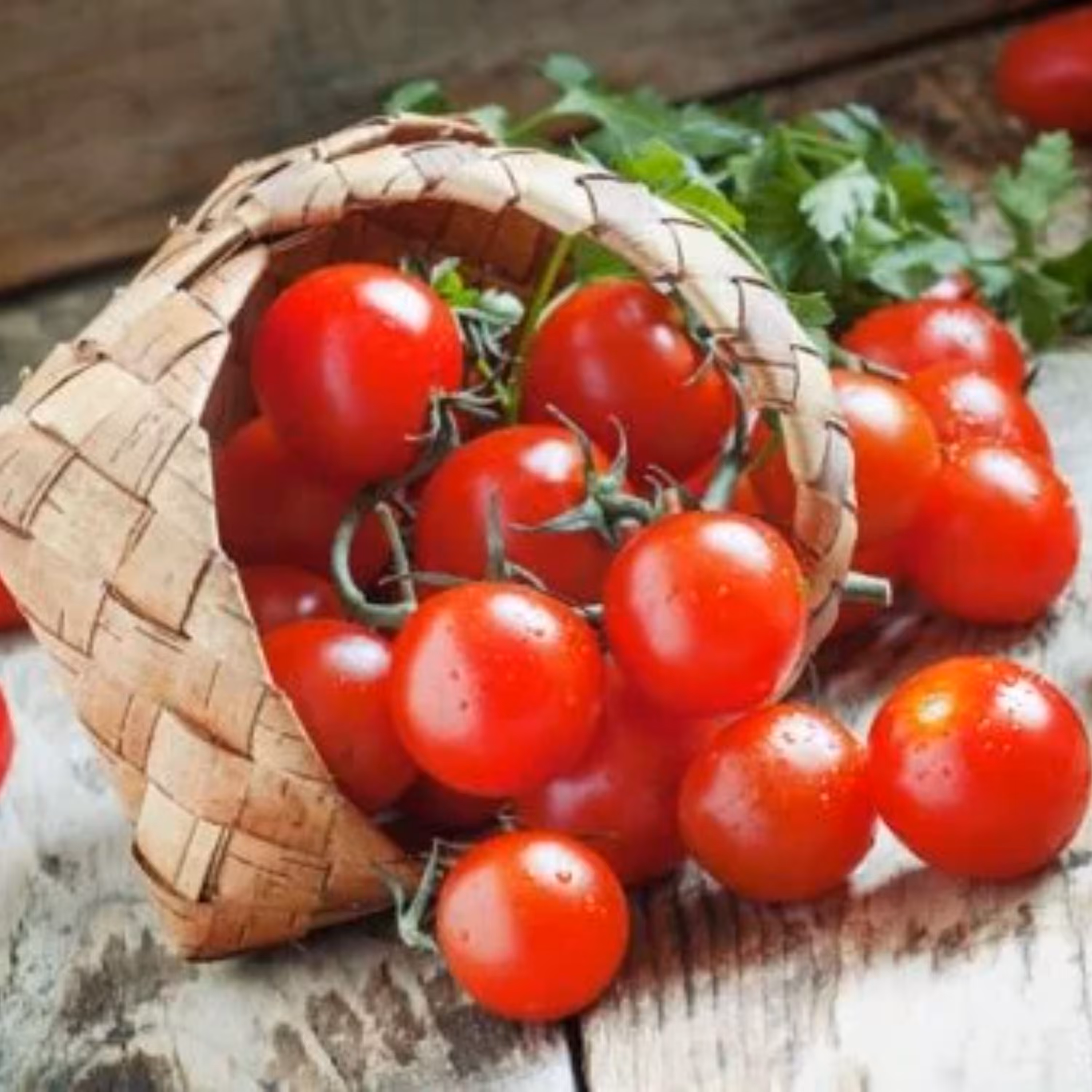 بذر گوجه فرنگی گیلاسی قرمز هیبرید ژاپنی بسته 5 عددی