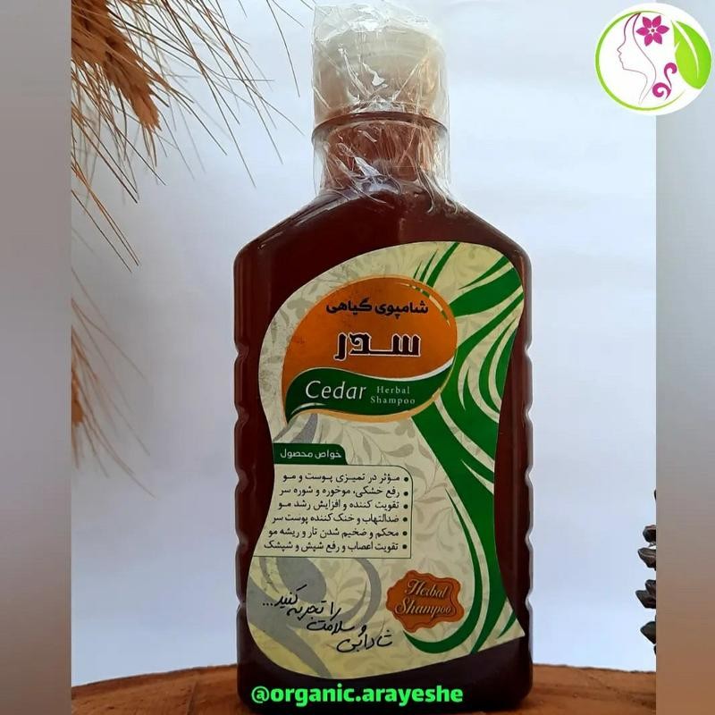 شامپو سدر