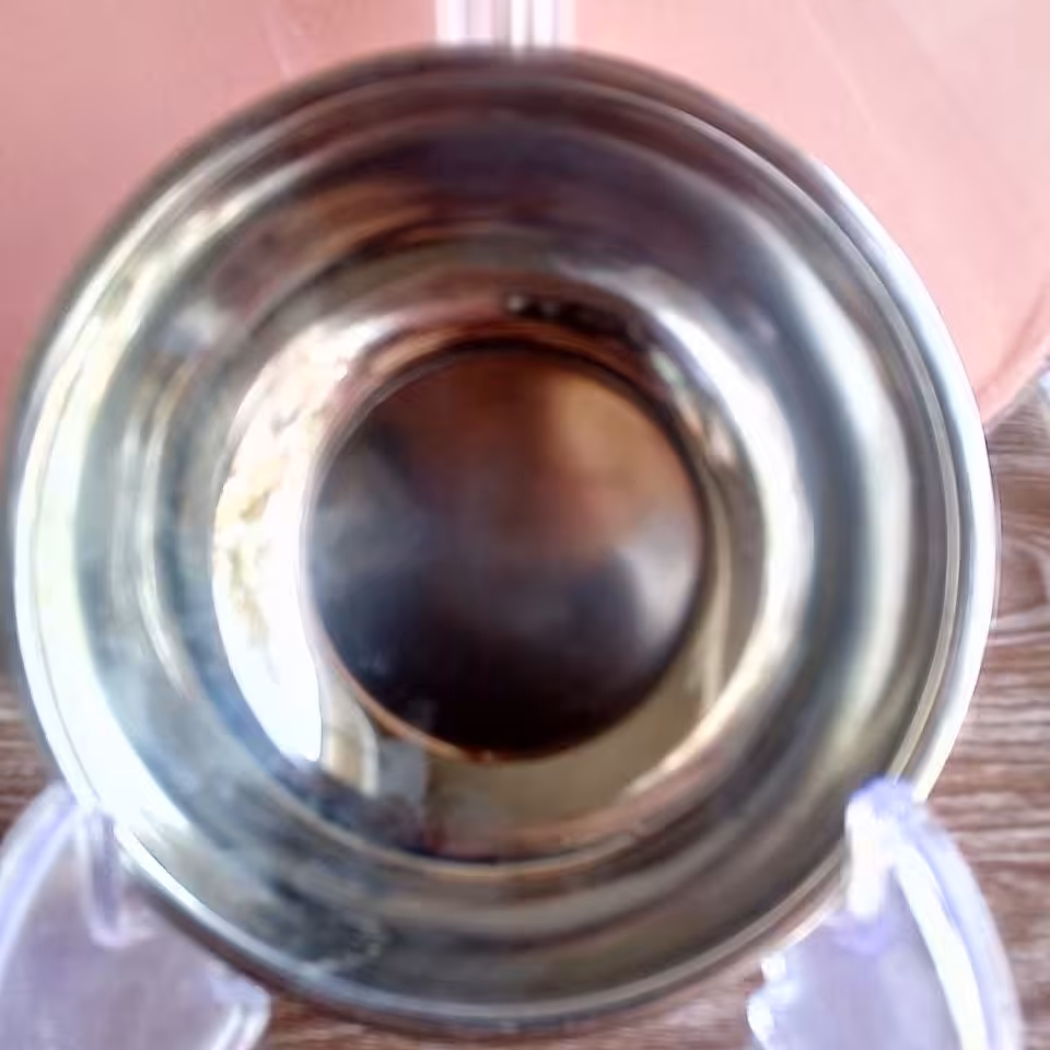 کاسه ماست خوری استیل زد زنگ 