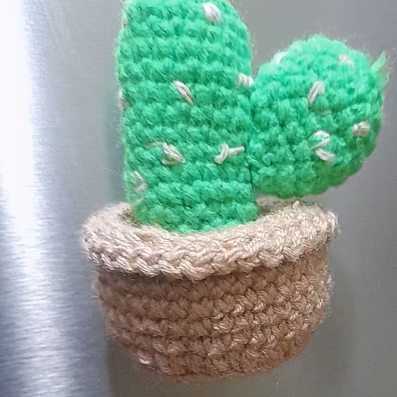 گلدان کاکتوس بافتنی(دست ساز) تزیینی