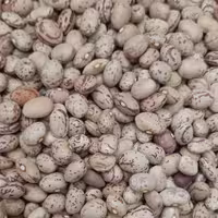 لوبیا چیتی درجه یک پاک شده (یک کیلویی)