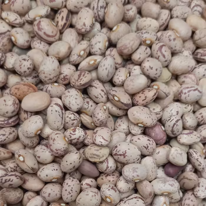 لوبیا چیتی درجه یک پاک شده (یک کیلویی)