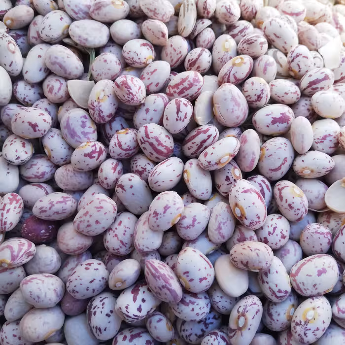 لوبیا چیتی  خوشپخت 10 کیلویی(ارسال رایگان)