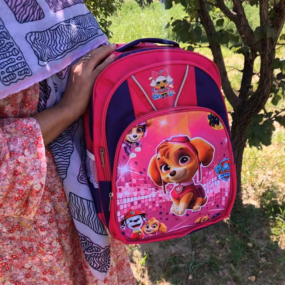 کیف کوله پشتی مدرسه ای دخترانه طرح سگ نگهبان رنگ صورتی کیفیت عالی مدل 3زیپ