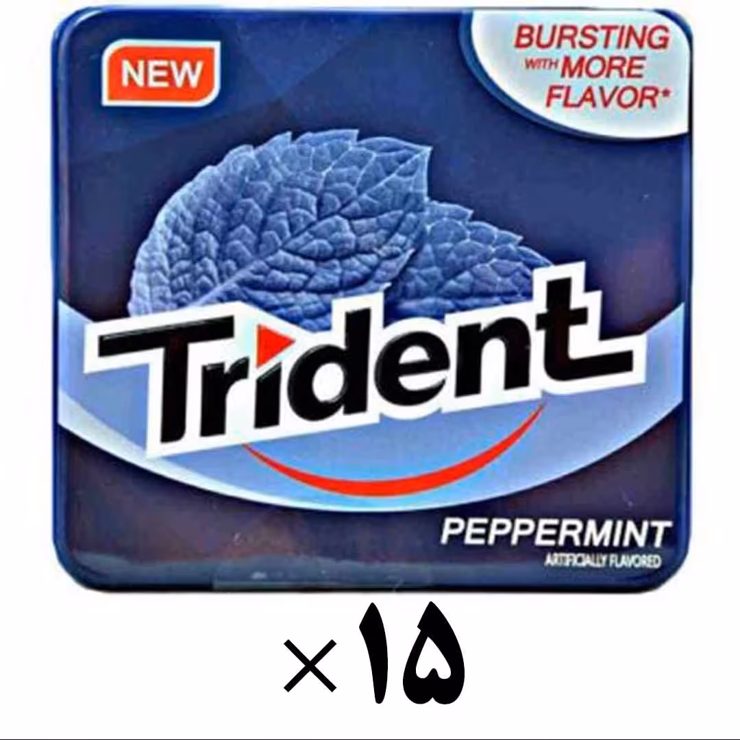 آدامس تریدنت نعنا تند بدون قند جعبه فلزی 15 عددی Trident