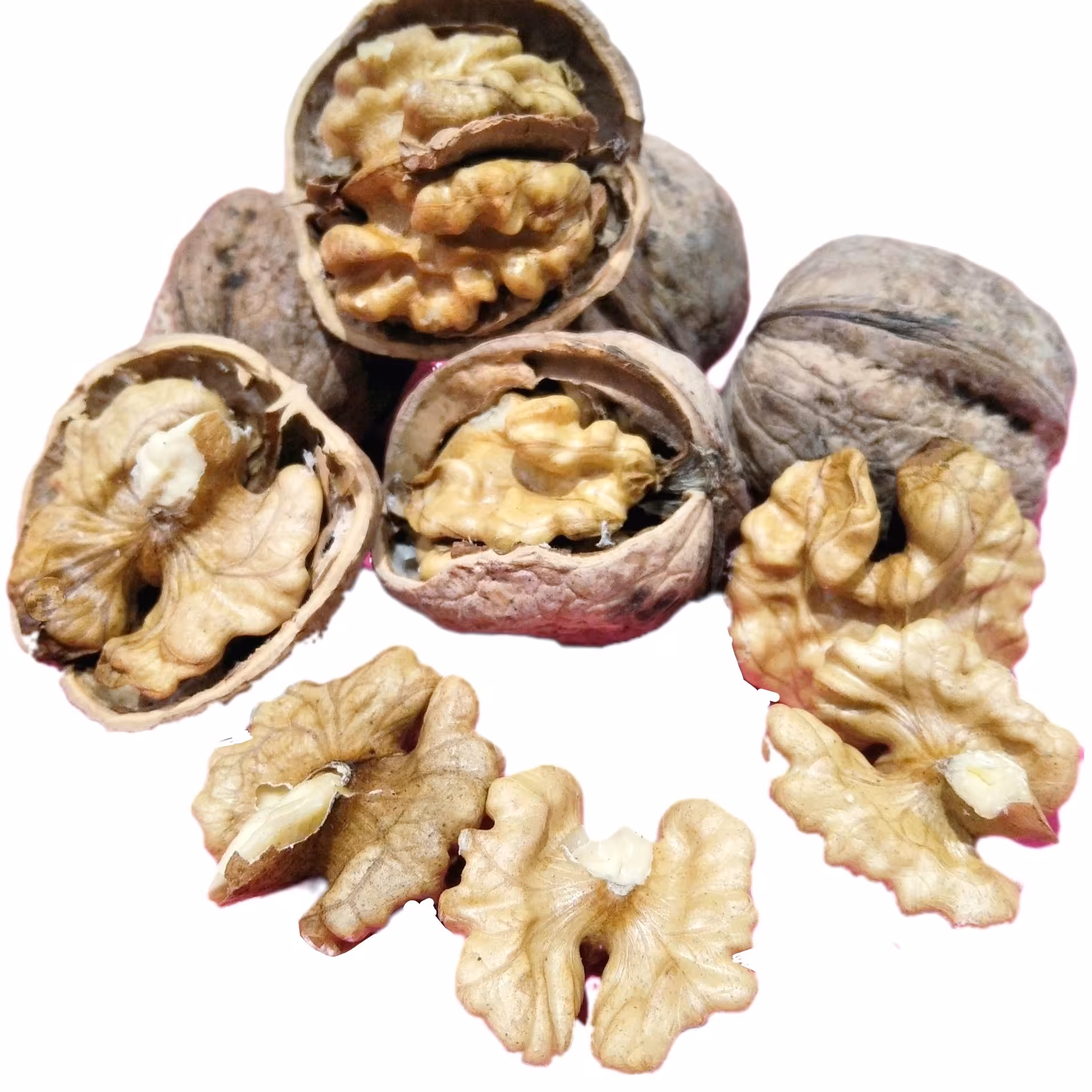 گردوی پوست کاغذی مغز سفید درجه یک ارسال رایگان