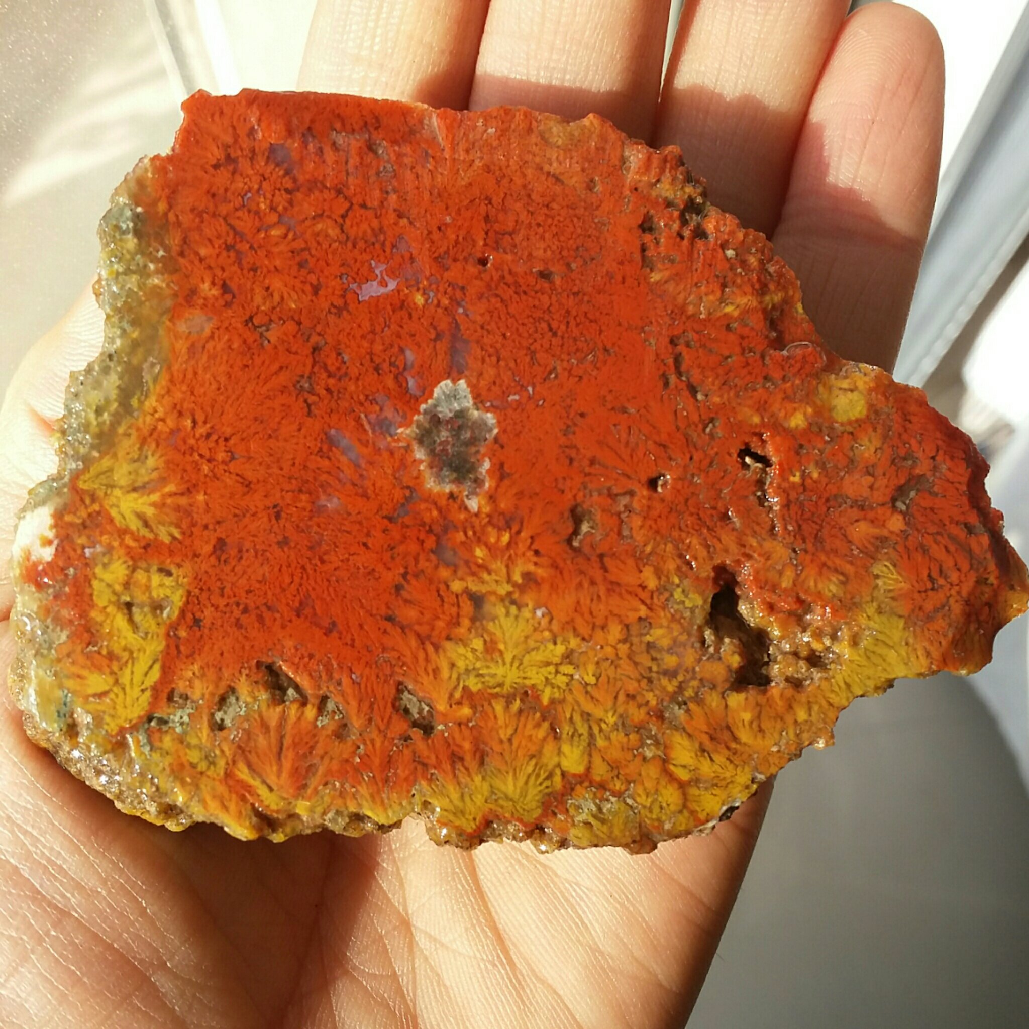 اسلایس سنگ راف شجر قرمز و زرد دیددددنی کاملا طبیعی شاهکار خلقت خاص