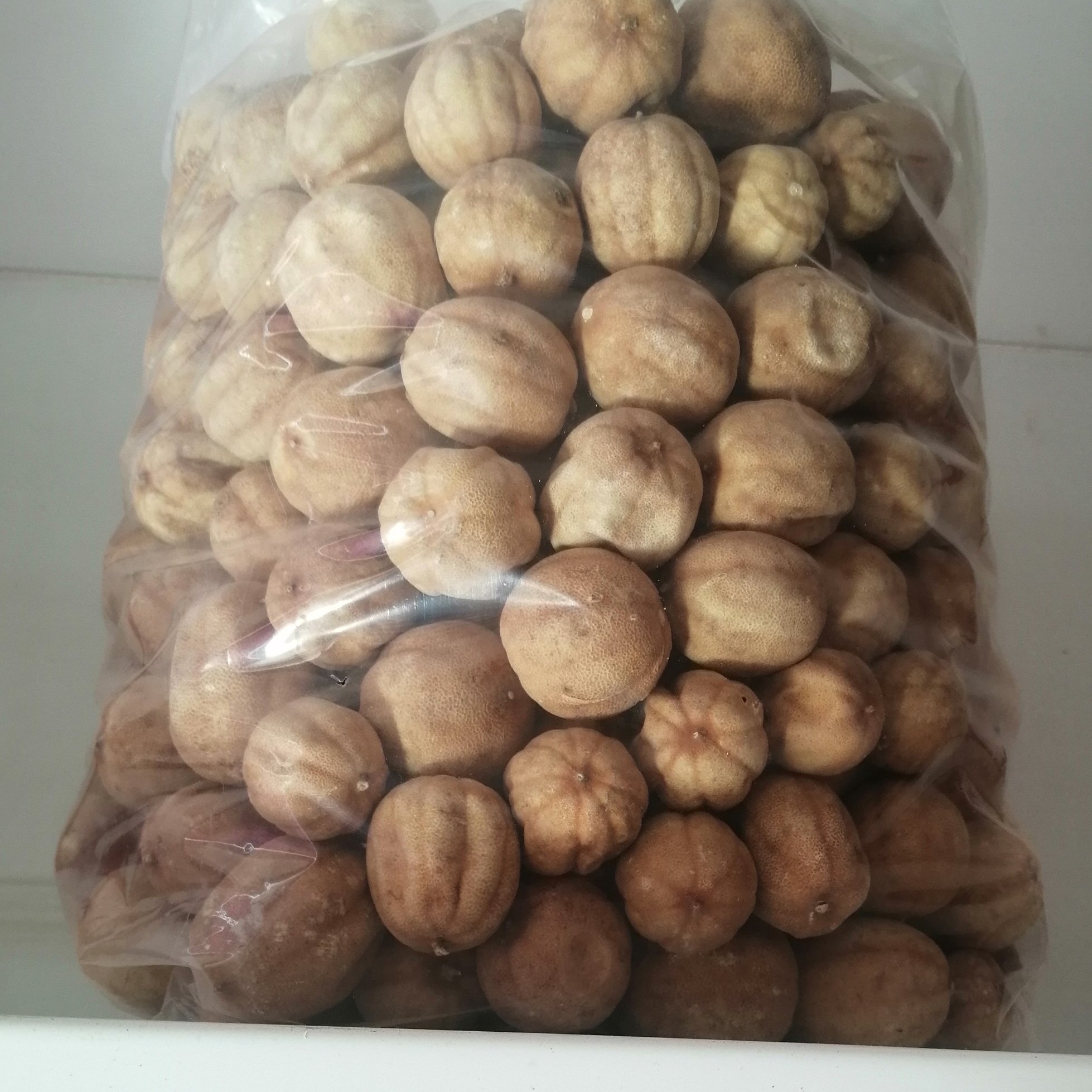 لیمو عمانی( یک کیلویی)